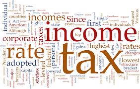 DIY Tax Programs VS Tax Pro